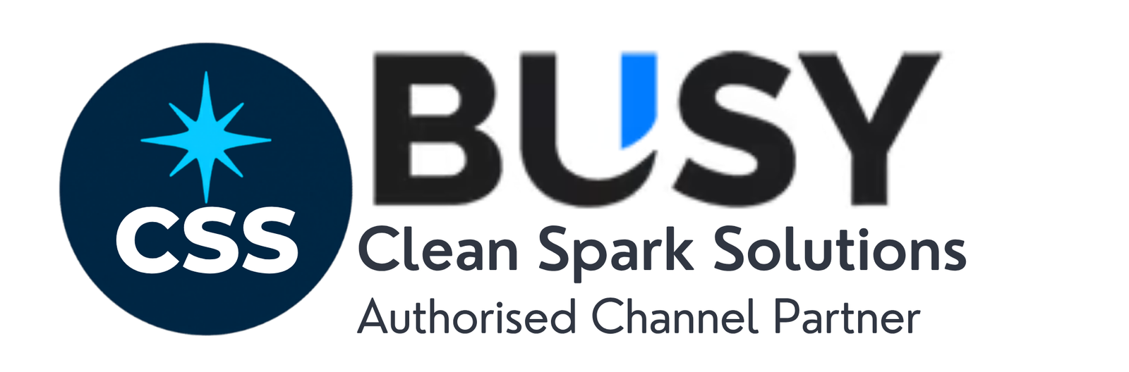 BUSY ACCOUNTING SOFTWARE SOLUTIONS - CSS